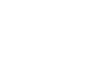 Antonion Borges-Author Website